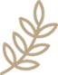 Icon Leaf
